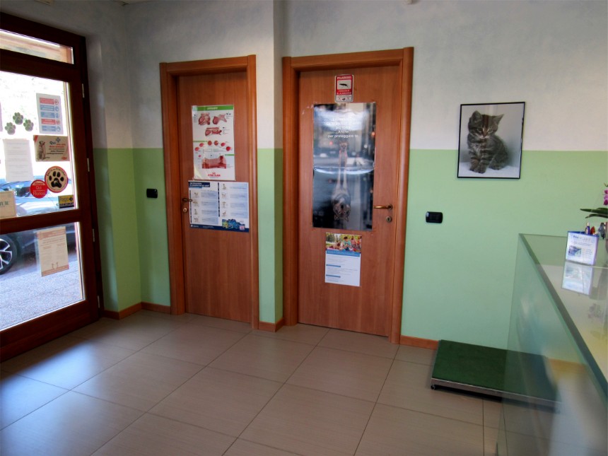 Clinica Veterinaria Legnone