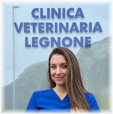 Dr.ssa Valentina Venutra